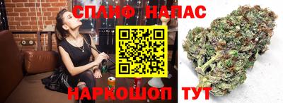 стафф Лесосибирск