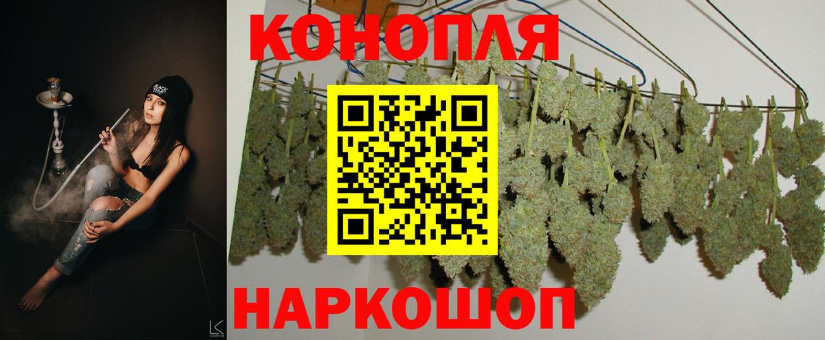 Жуковский  Бошки Шишки планчик  Бошки Шишки ГИДРОПОН  Конопля AK-47  Вход с VPN 